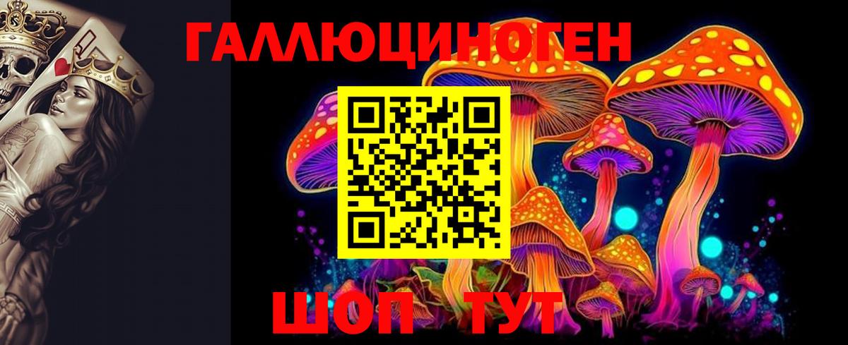 Псилоцибиновые грибы Cubensis  Псилоцибиновые грибы мухоморы  Кингисепп  Вход с VPN 